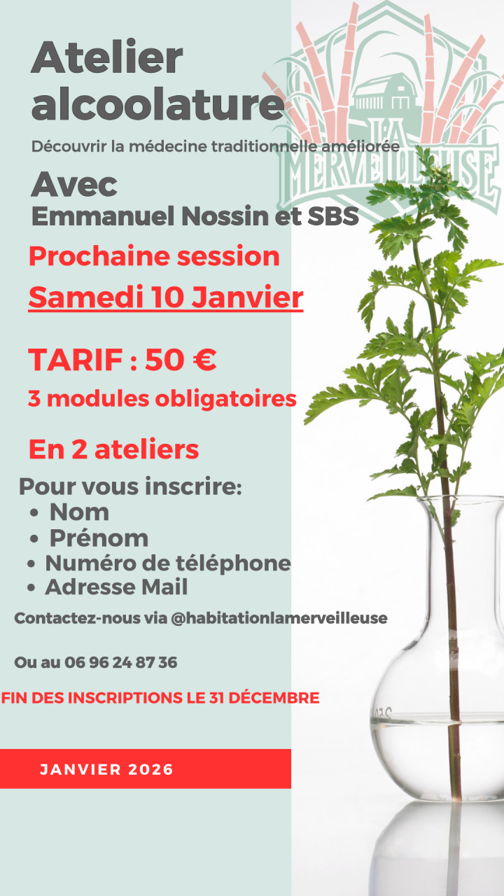 Atelier alcoolature 5