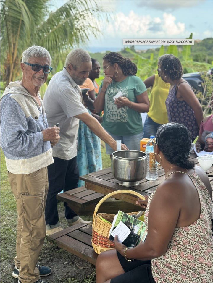 Découverte domaine Martinique