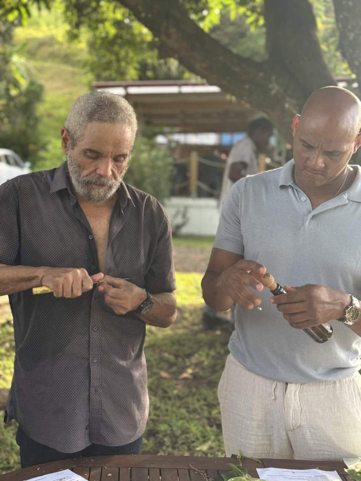 Découverte domaine Martinique