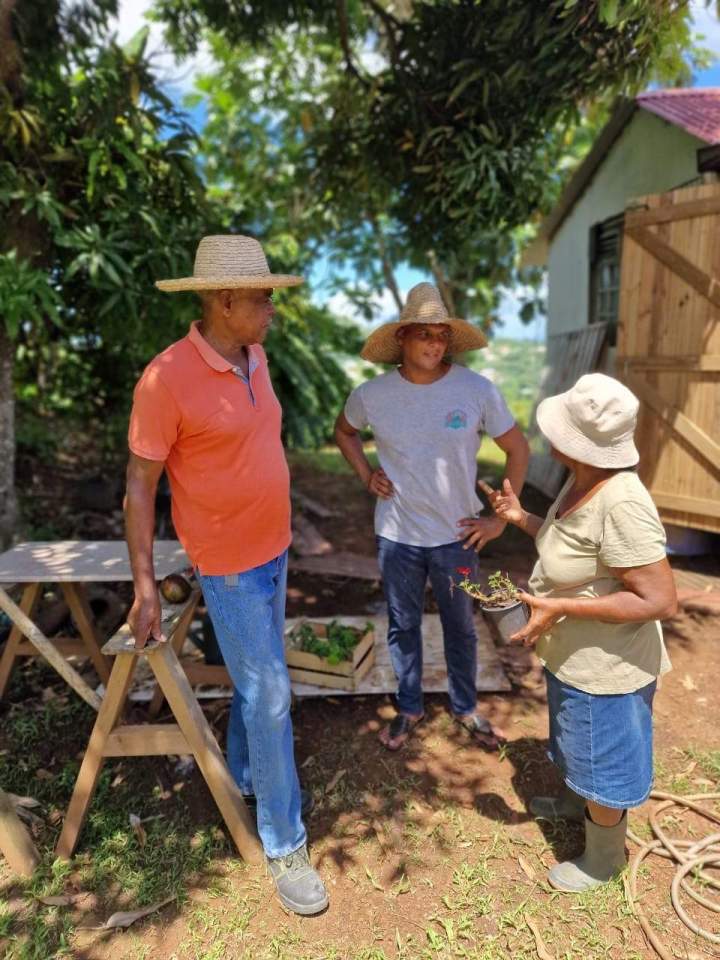 Domaine agricole en Martinique
