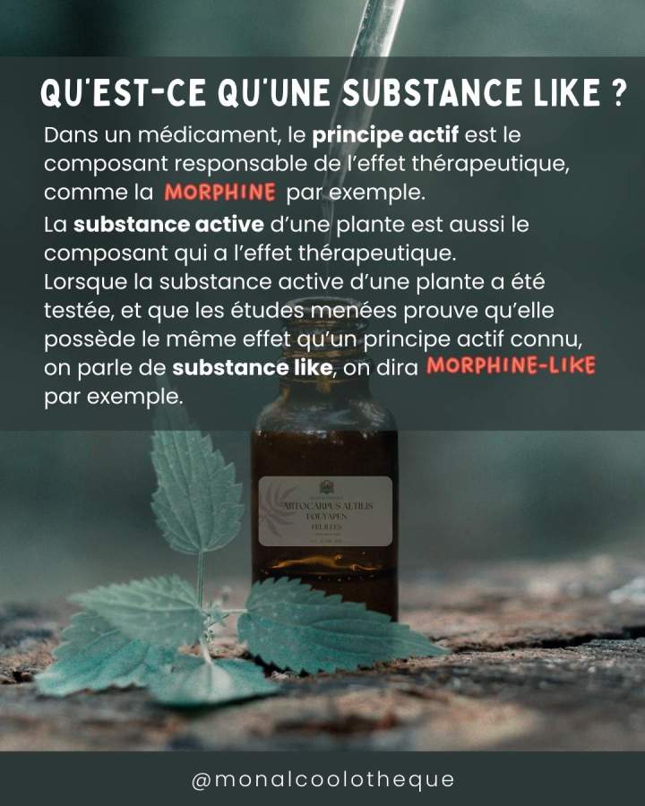 Publication Instagram Vente Produit Cosmétique Nature Photo Vert 2
